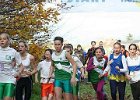 26-11-2006 Cross Standaardbuiten - 054